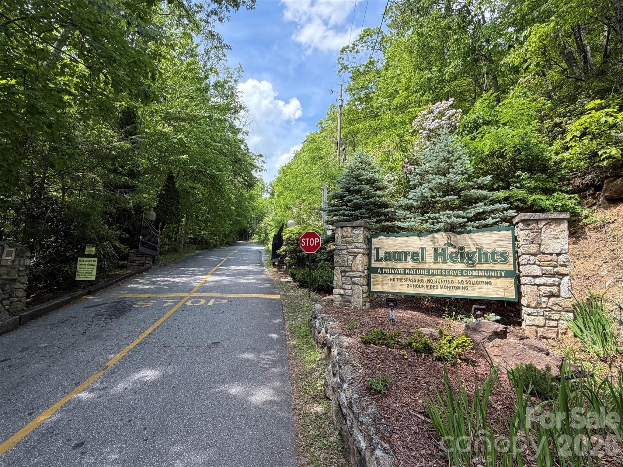 0 Leatherwood Road Maggie Valley, NC 28751 - Photo 3 of 15