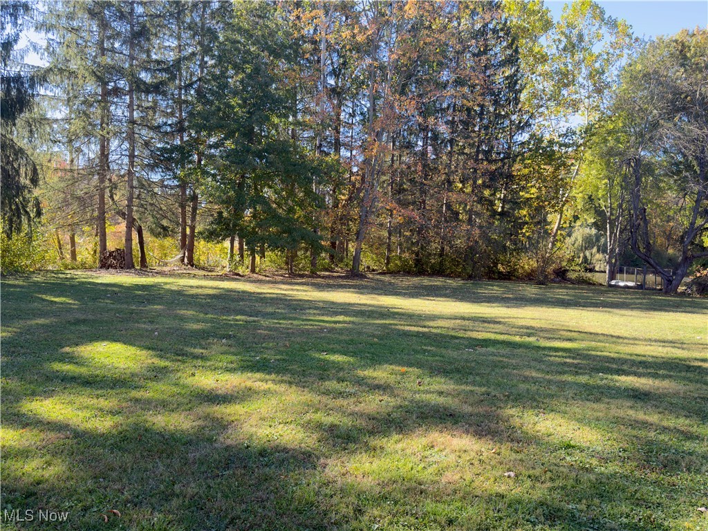 10685 Butternut Road Chesterland, OH 44026 - Photo 40 of 48 Gallery Image 40