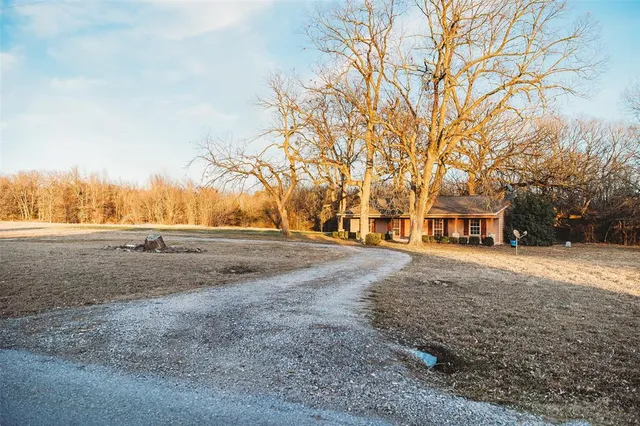 a view of dirt yard with a large tree