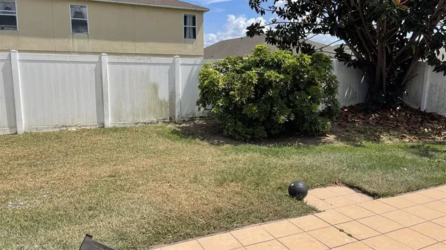 a view of backyard with potted plants and large tree