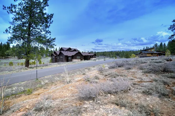 a view of a yard with a tree
