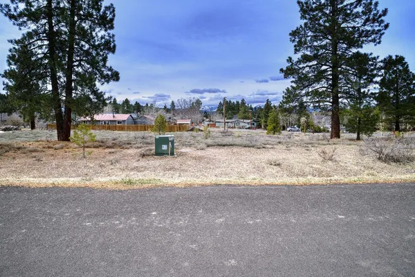 a view of outdoor space with trees