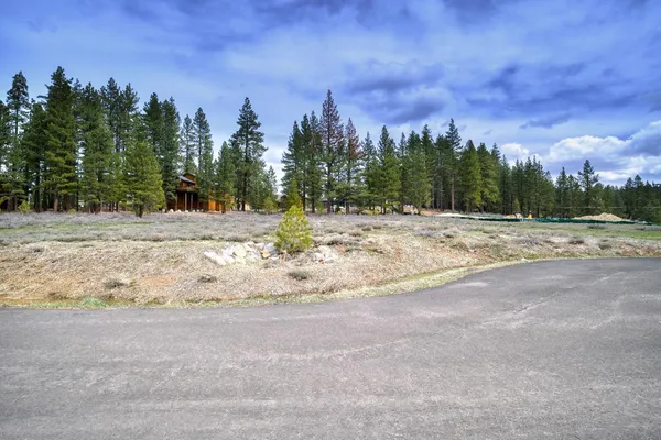 a view of a playground with a large trees