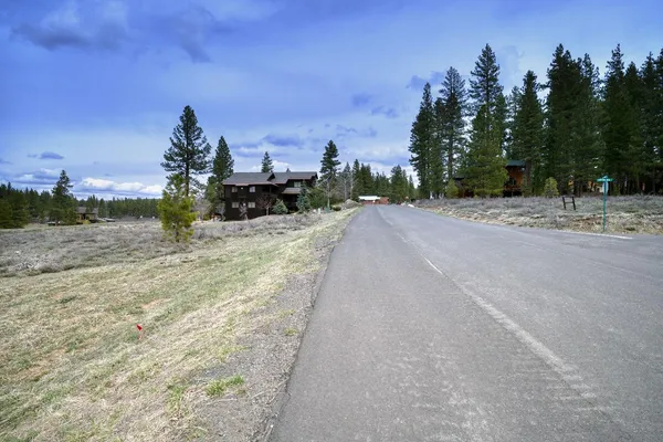 a view of a road with trees around