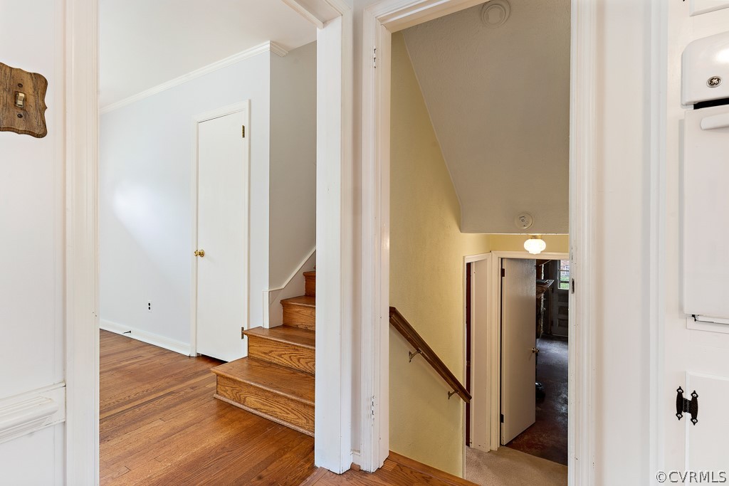 8412 Yolanda Road Henrico, VA 23229 - Photo 31 of 43 Gallery Image 31