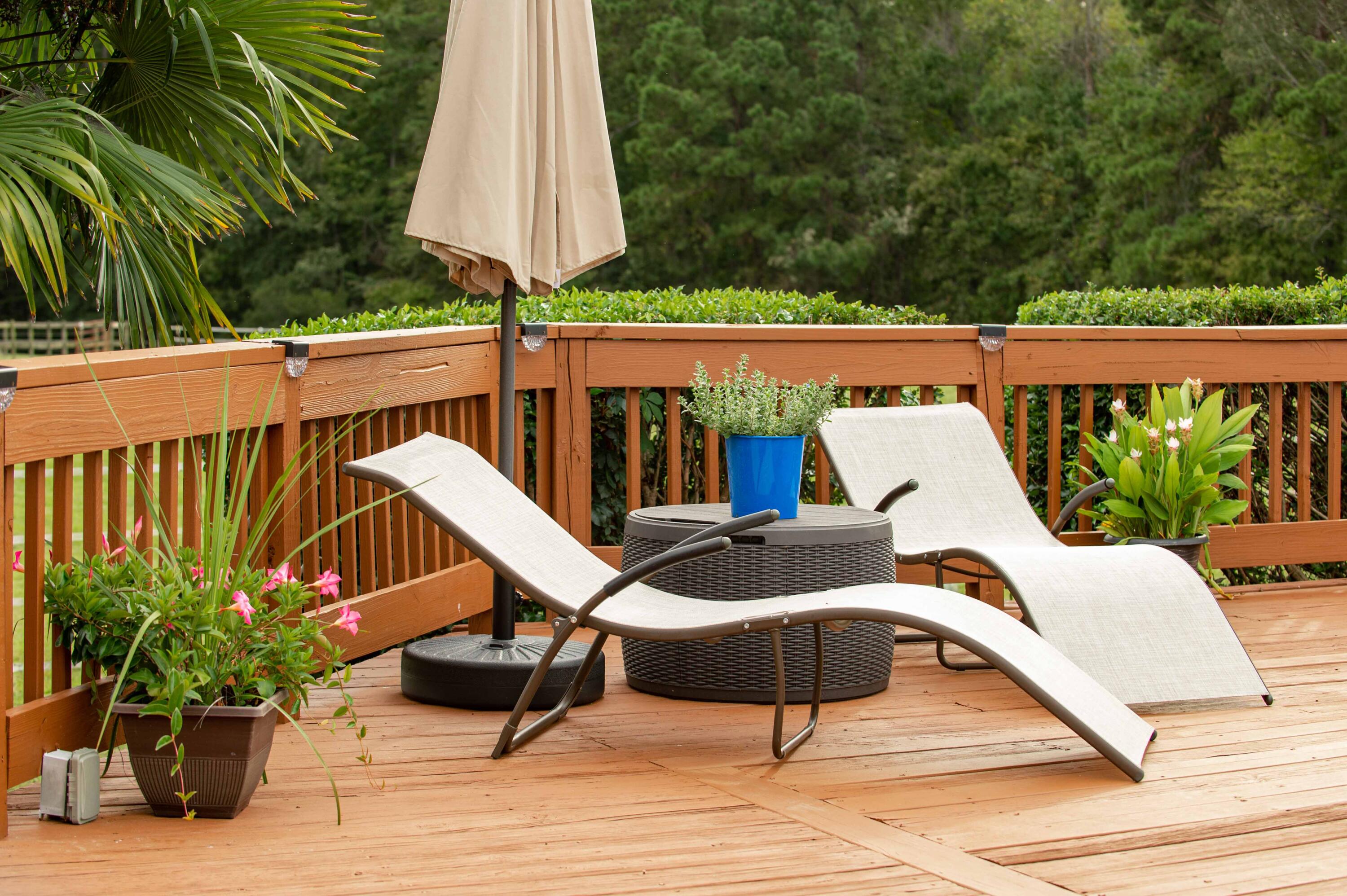 113 Rookery Court Summerville, SC 29483 - Photo 46 of 65 113 Rookery Spring Shots-4