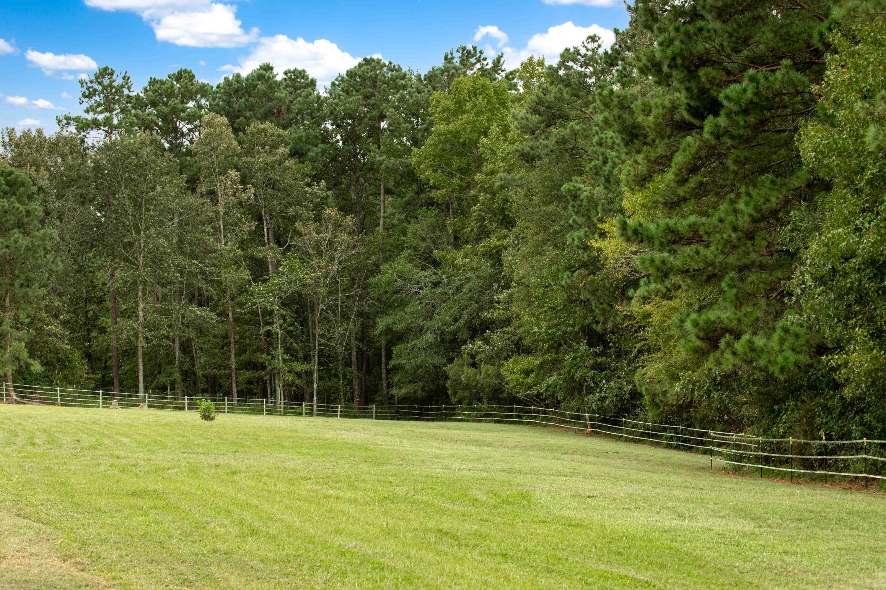 113 Rookery Court Summerville, SC 29483 - Photo 50 of 65 113 Rookery Spring Shots-2