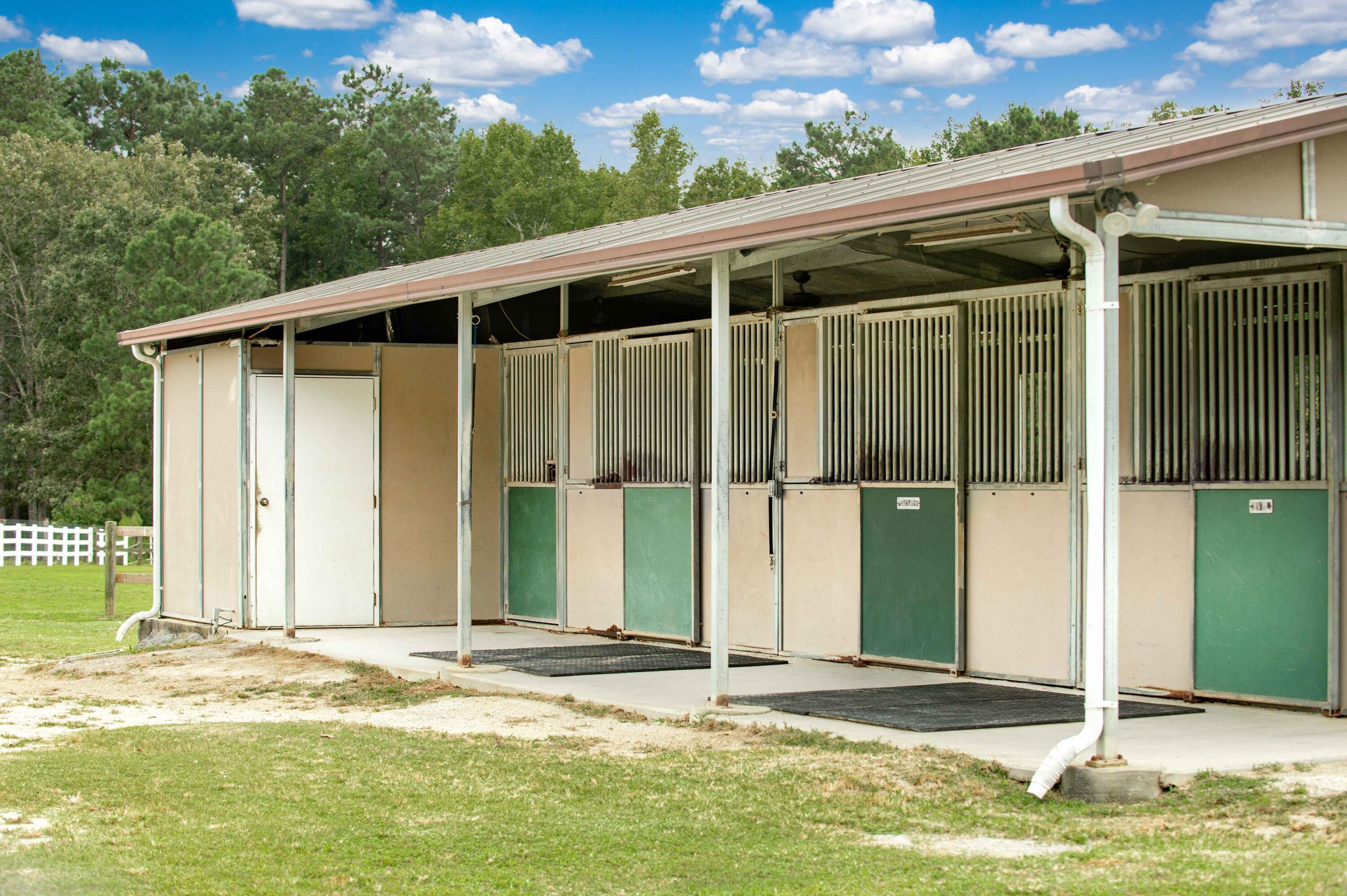 113 Rookery Court Summerville, SC 29483 - Photo 53 of 65 113 Rookery Spring Shots-3