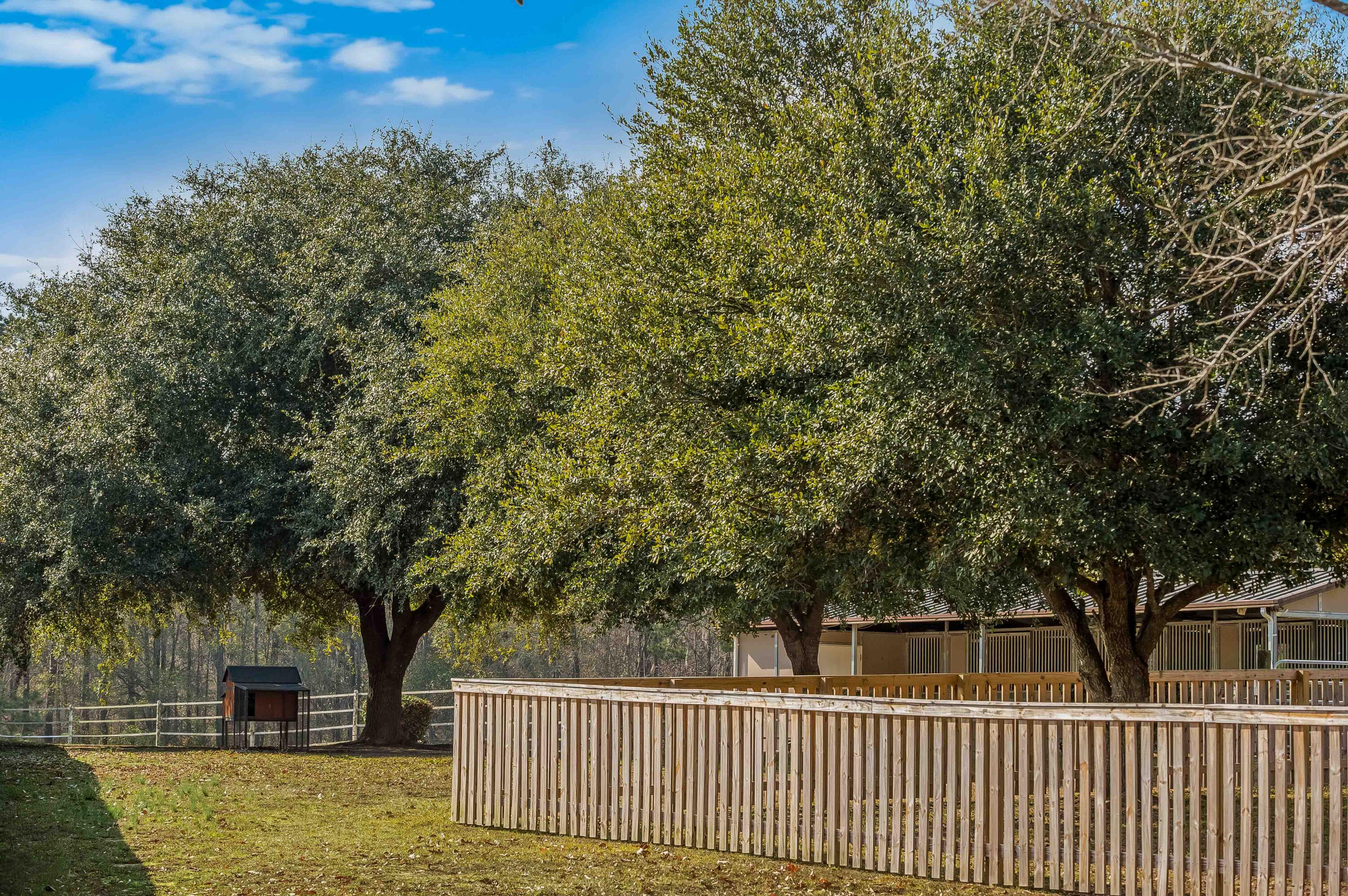 113 Rookery Court Summerville, SC 29483 - Photo 57 of 65 113 Rookery Court Exteriors LR-1