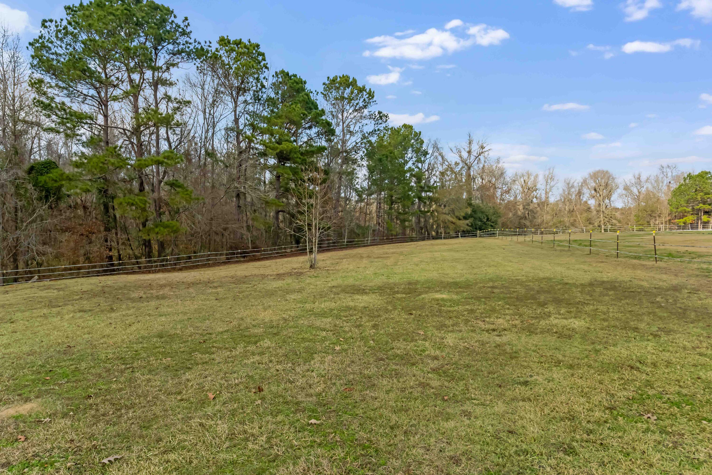 113 Rookery Court Summerville, SC 29483 - Photo 59 of 65 113 Rookery Court Exteriors LR-8