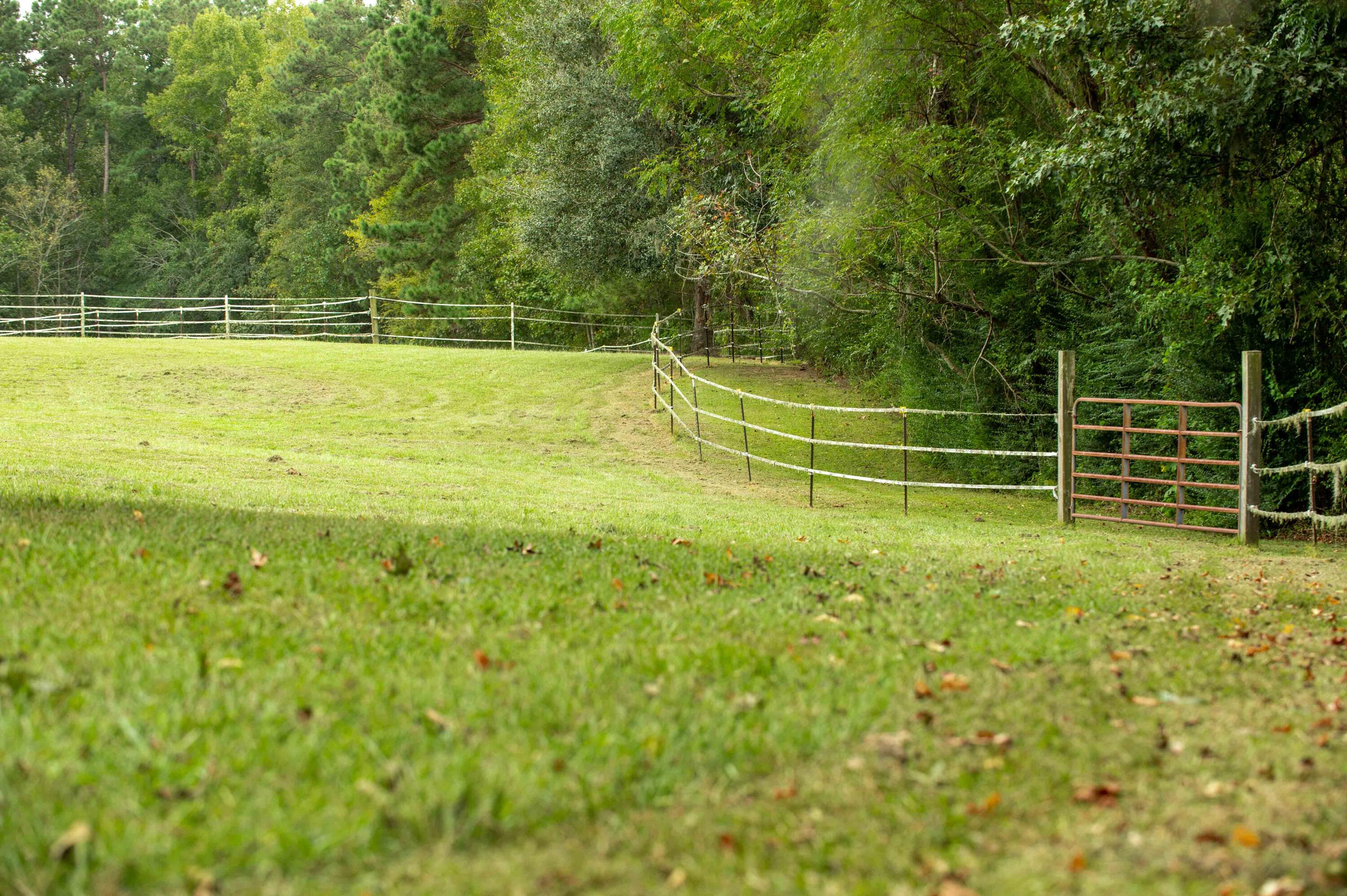 113 Rookery Court Summerville, SC 29483 - Photo 60 of 65 113 Rookery Spring Shots-1