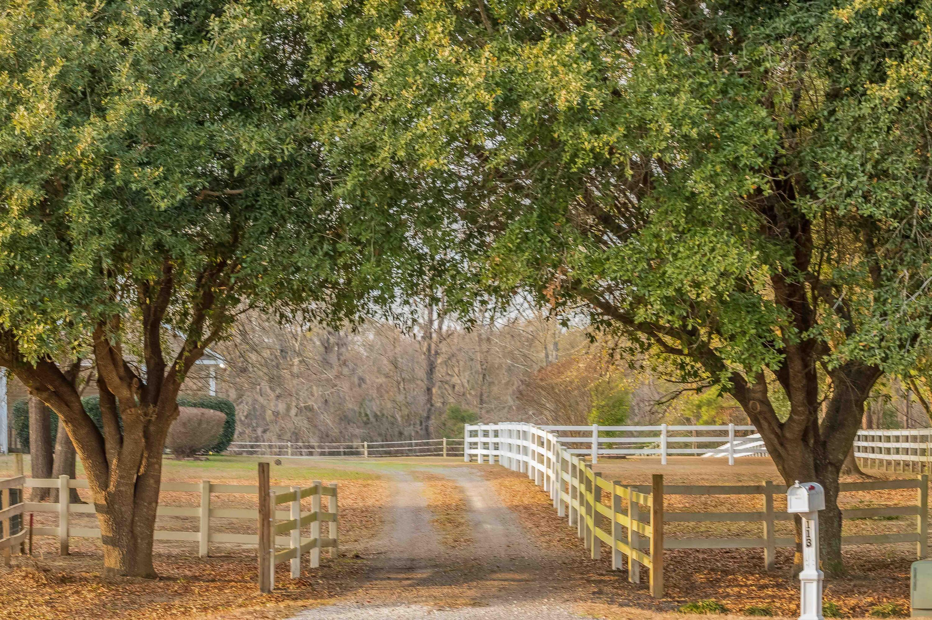 113 Rookery Court Summerville, SC 29483 - Photo 6 of 65 113 Rookery Court Exteriors LR-15