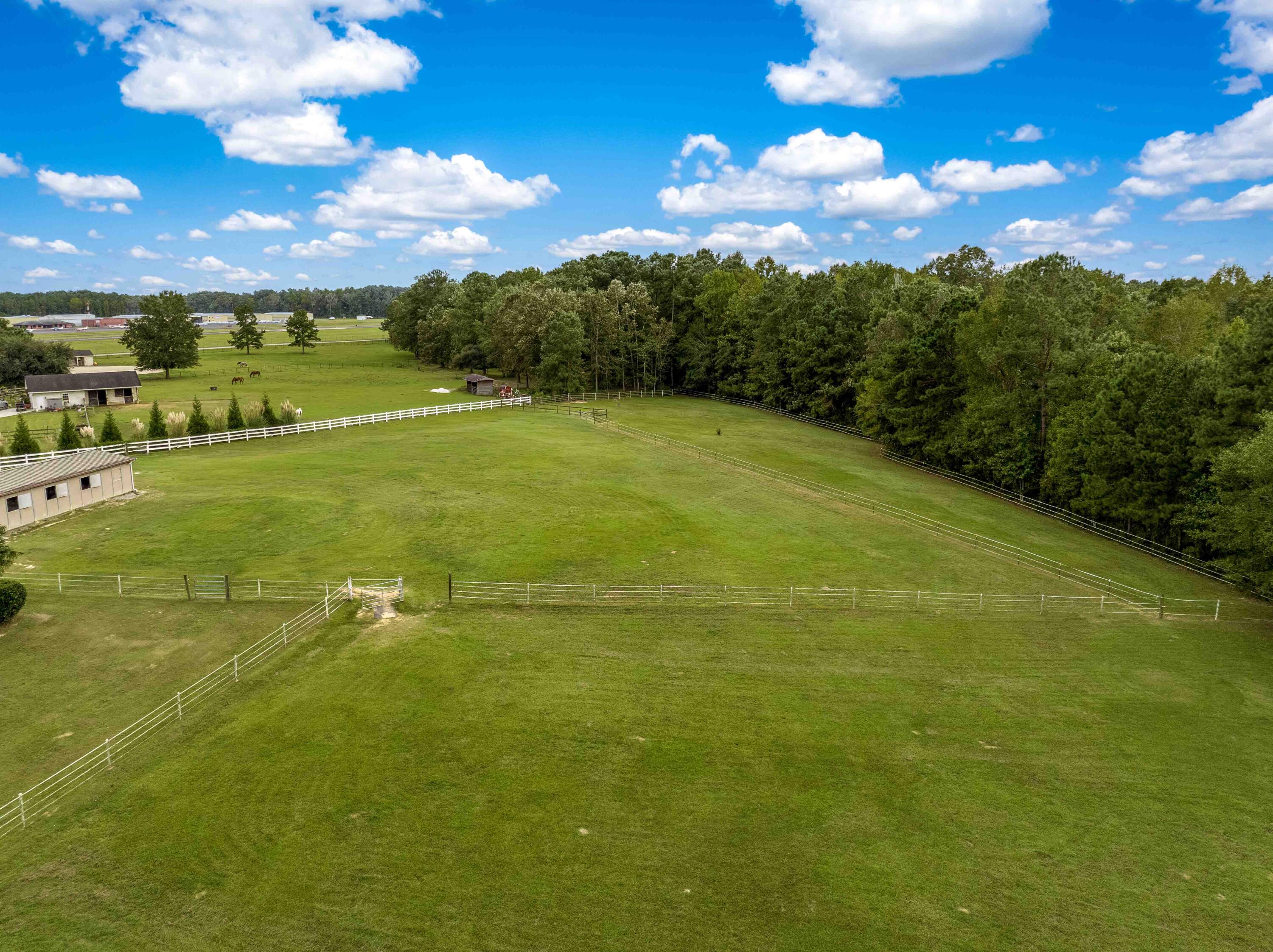 113 Rookery Court Summerville, SC 29483 - Photo 61 of 65 113 Rookery Spring Shots-9