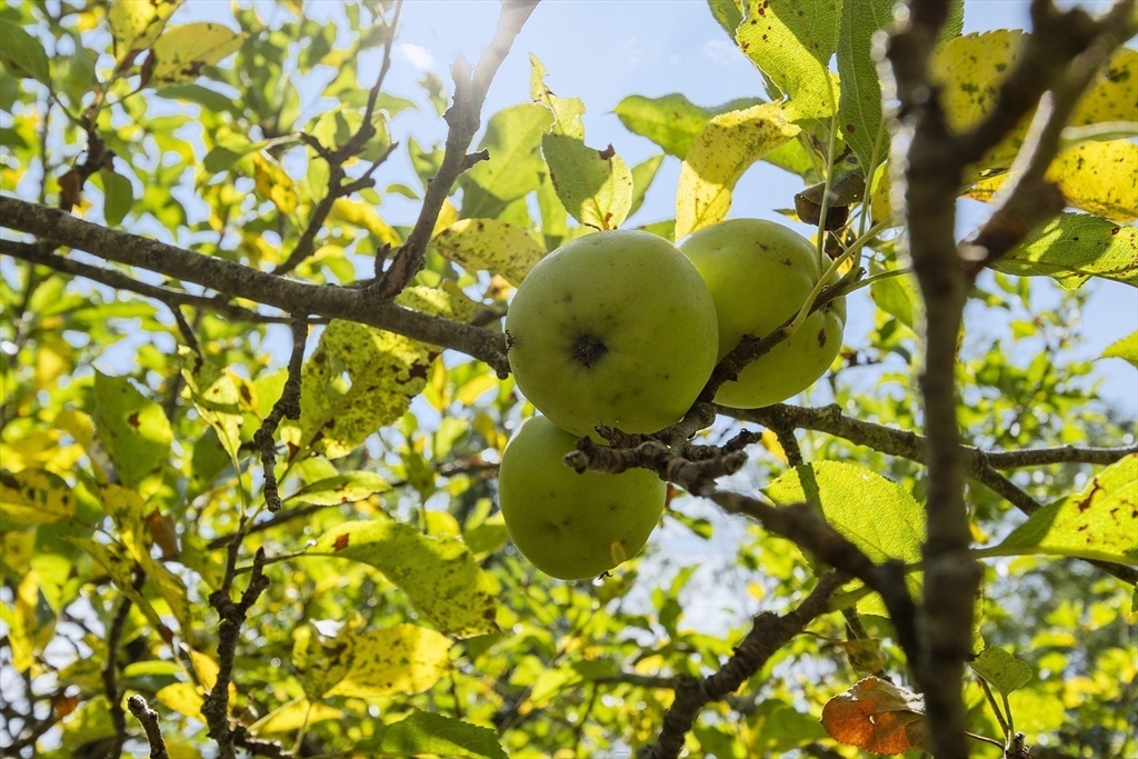 171 South Road Templeton, MA 01436 - Photo 10 of 38 a bathroom with a sink and mirror