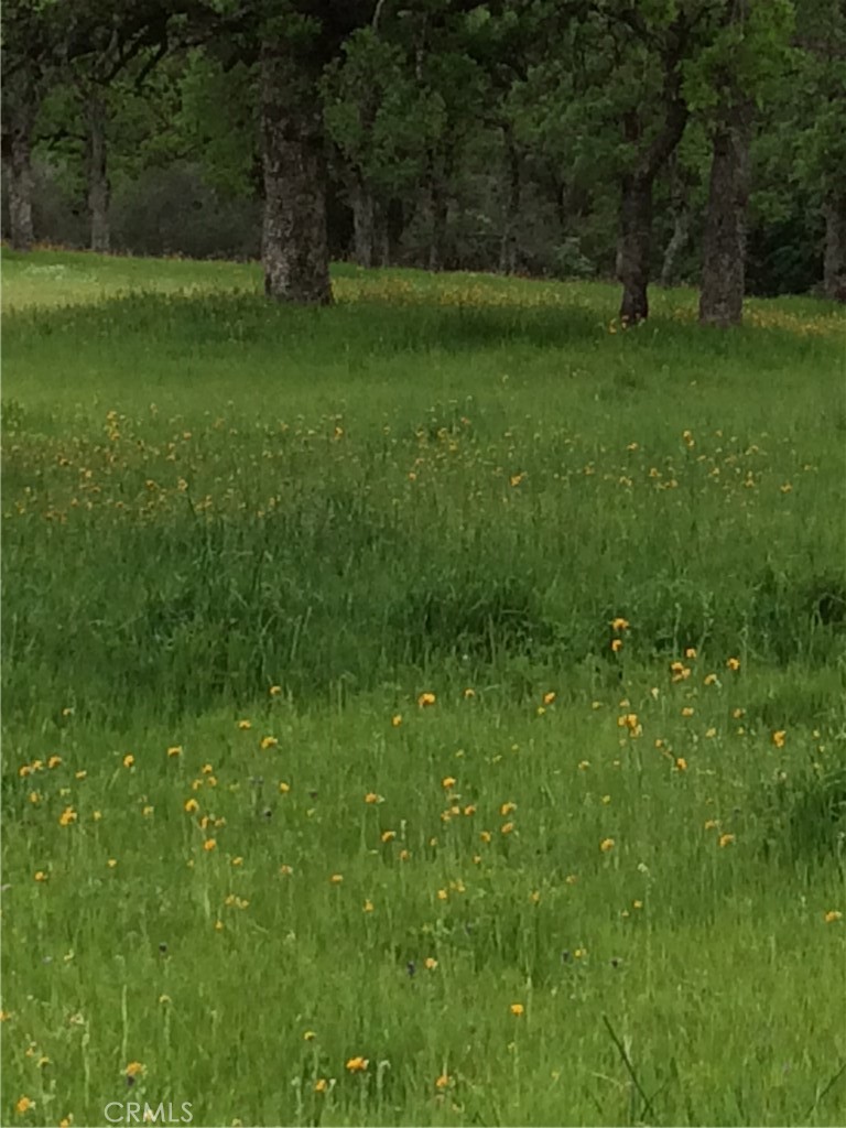 1985 Flatiron Road Chico, CA 95928 - Photo 52 of 67