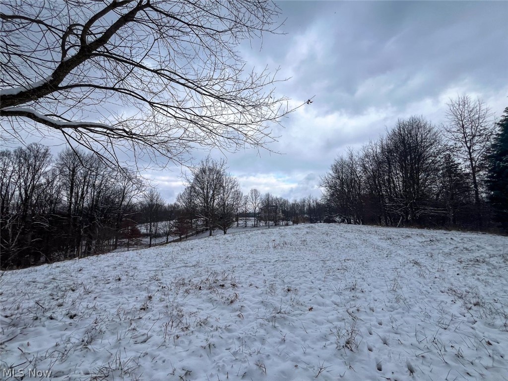 87085 Crall Road Scio, OH 43988 - Photo 22 of 30