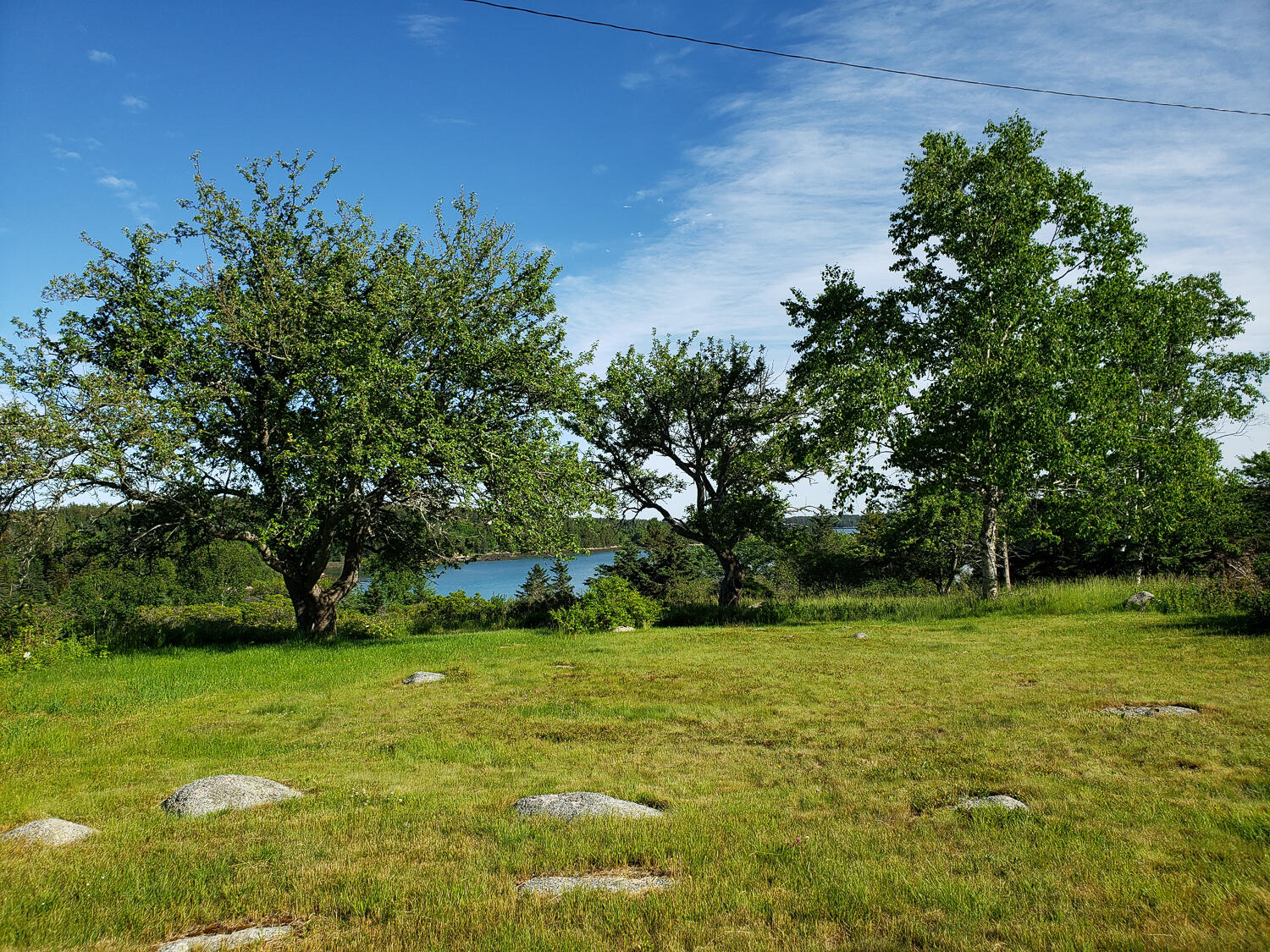 106 Harbor Road Swans Island, ME 04685 - Photo 26 of 28 Backyard