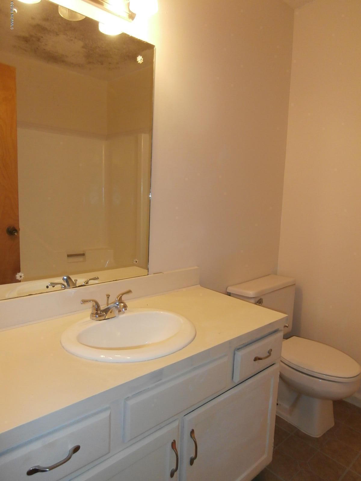 166 Dead End Road Enfield, NC 27823 - Photo 13 of 20 2nd Bath view 1 - Full