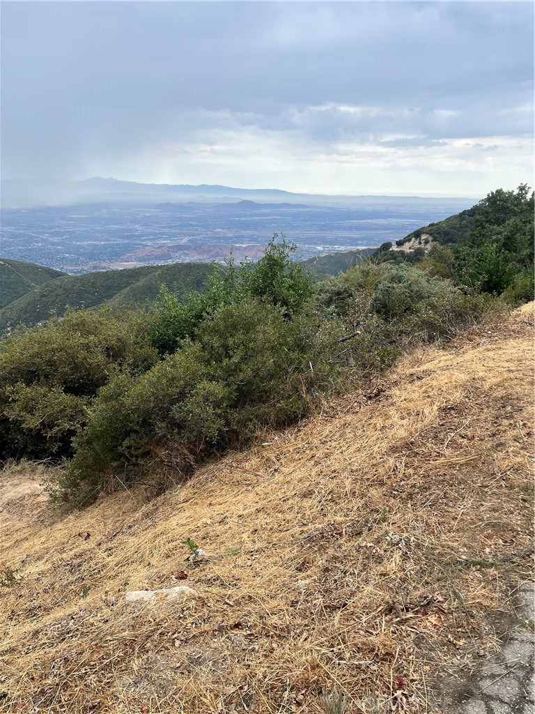 0 Ocean View Drive Crestline, CA 92325 - Photo 2 of 3 a view of a yard with a wooden fence