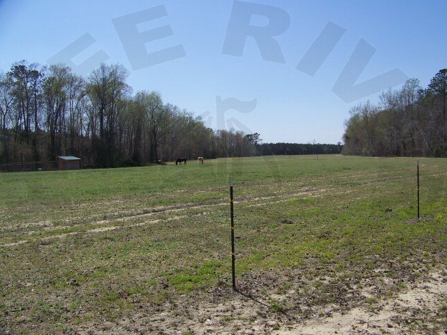 3747 Archbell Road Bath, NC 27808 - Photo 1 of 1 Primary Photo