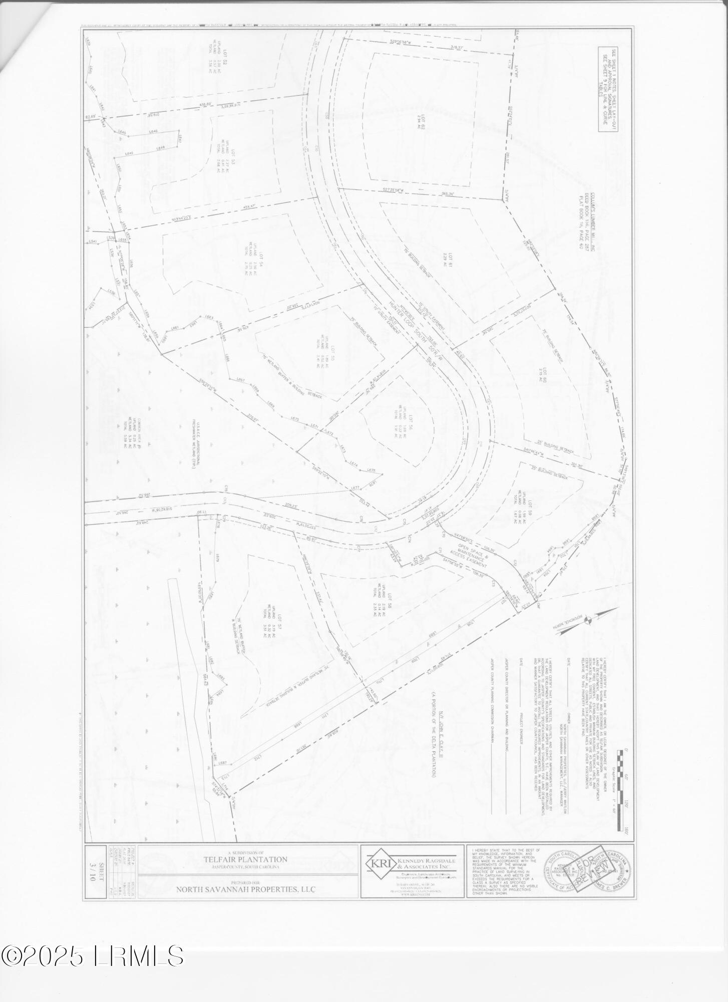 1328 Hunters Loop South Hardeeville, SC 29927 - Photo 5 of 5 58Plot 001