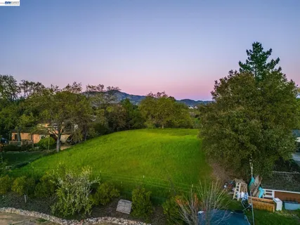 a green field with trees in the background