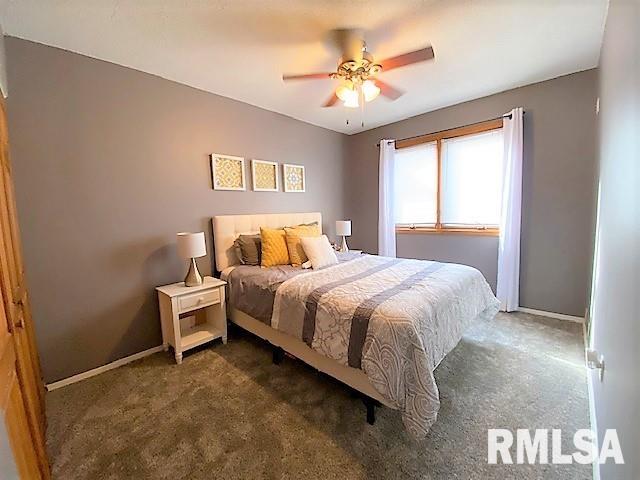 81 McCarthy Drive Springfield, IL 62702 - Photo 17 of 24