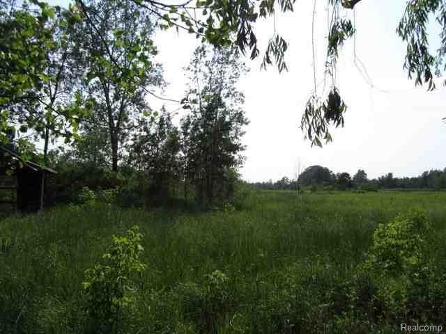 1655 Braidwood Road Memphis, MI 48041 - Photo 19 of 21 MIMLS31040693R