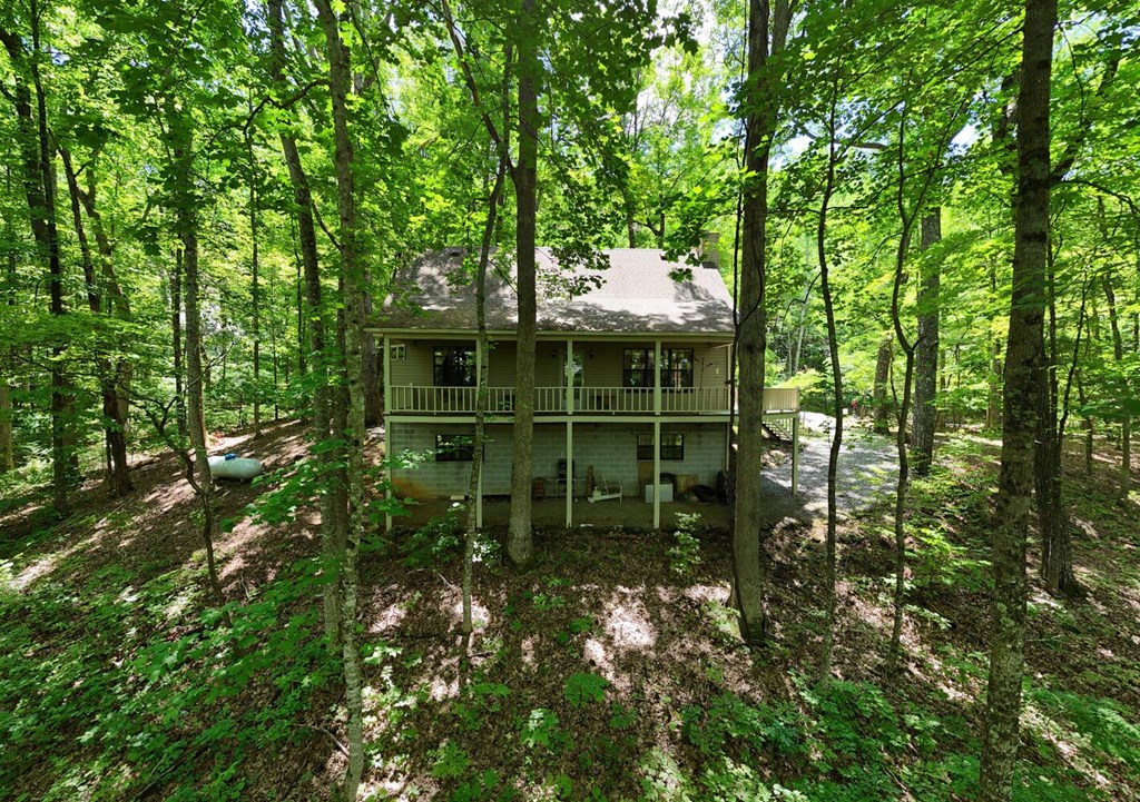 1203 Spring Cove Road Blairsville, GA 30512 - Photo 11 of 52 Gallery Image 11