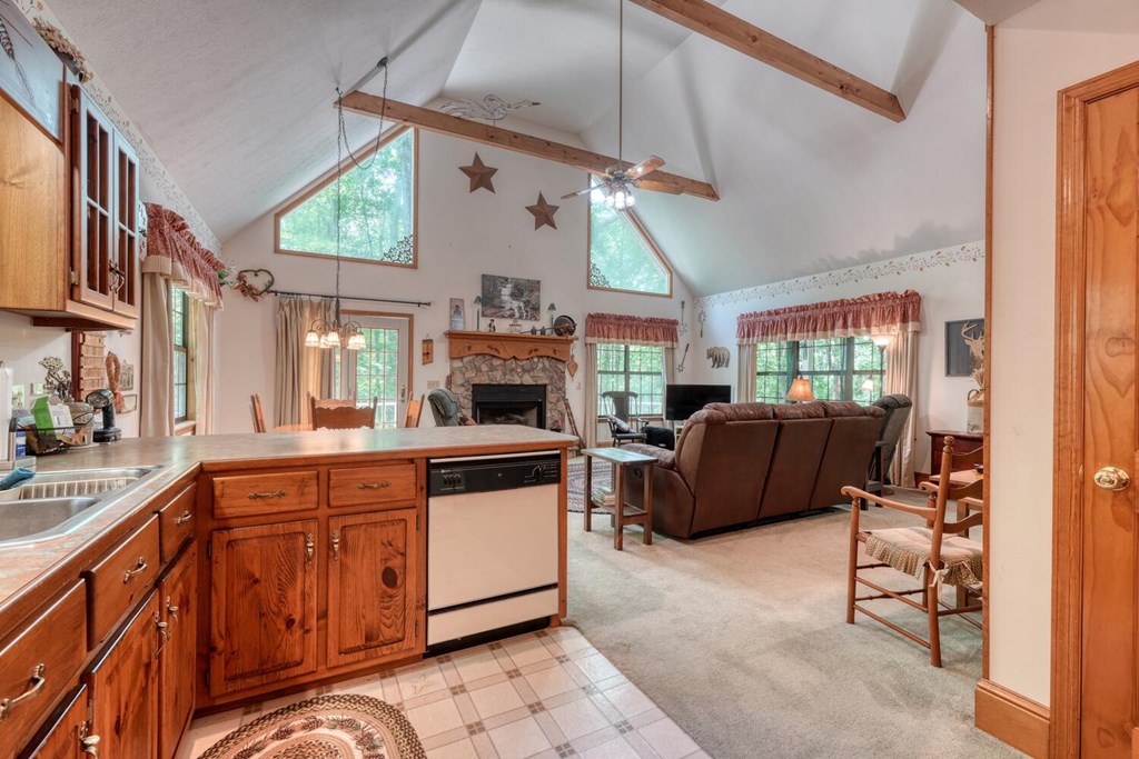 1203 Spring Cove Road Blairsville, GA 30512 - Photo 2 of 52 Gallery Image 2