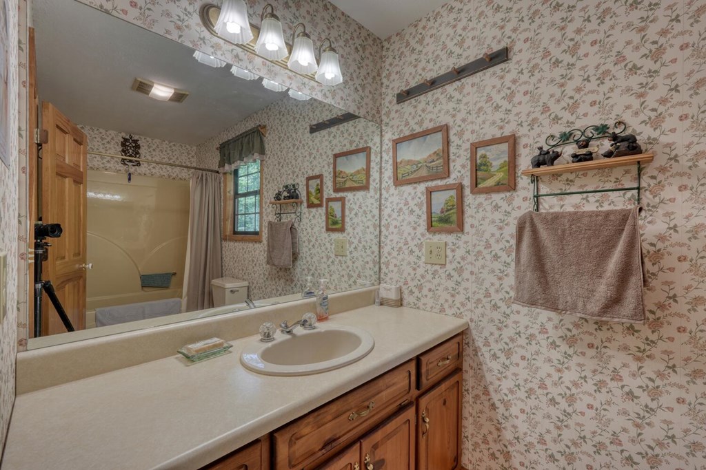 1203 Spring Cove Road Blairsville, GA 30512 - Photo 29 of 52 Gallery Image 29