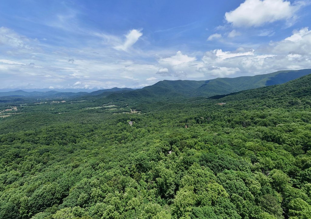 1203 Spring Cove Road Blairsville, GA 30512 - Photo 4 of 52 Gallery Image 4