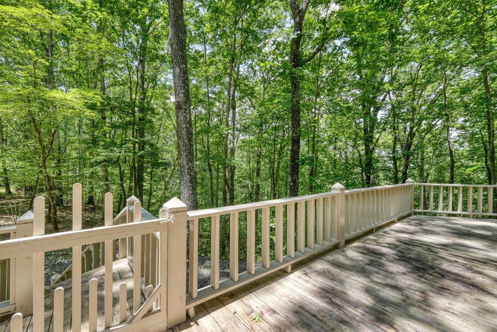 1203 Spring Cove Road Blairsville, GA 30512 - Photo 41 of 52 Gallery Image 41