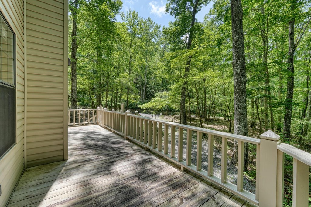 1203 Spring Cove Road Blairsville, GA 30512 - Photo 42 of 52 Gallery Image 42