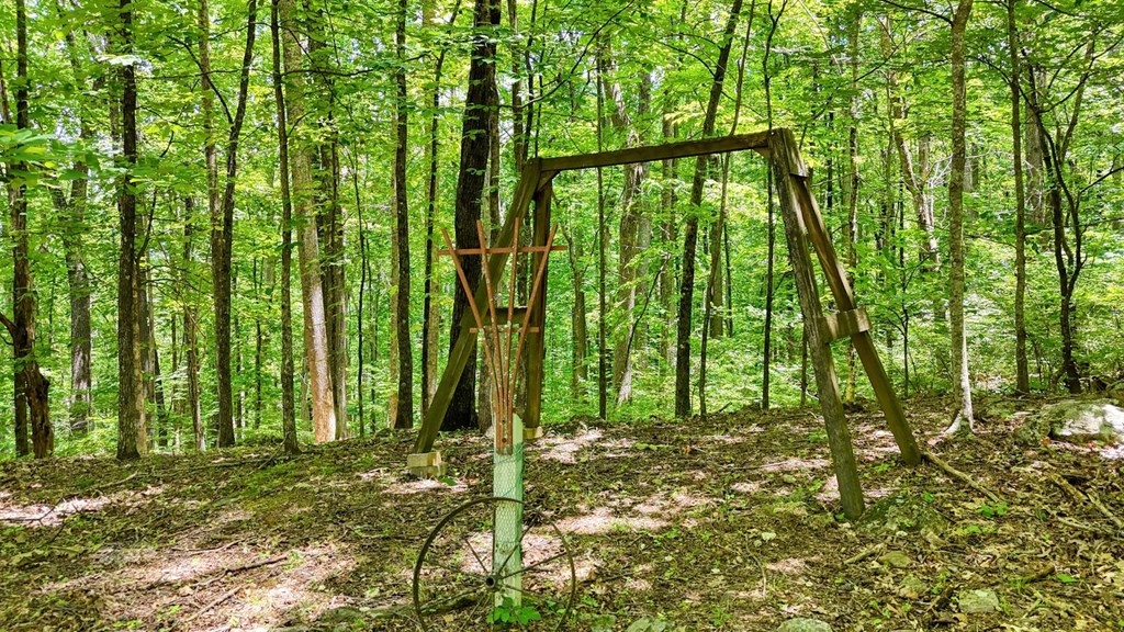 1203 Spring Cove Road Blairsville, GA 30512 - Photo 47 of 52 Gallery Image 47
