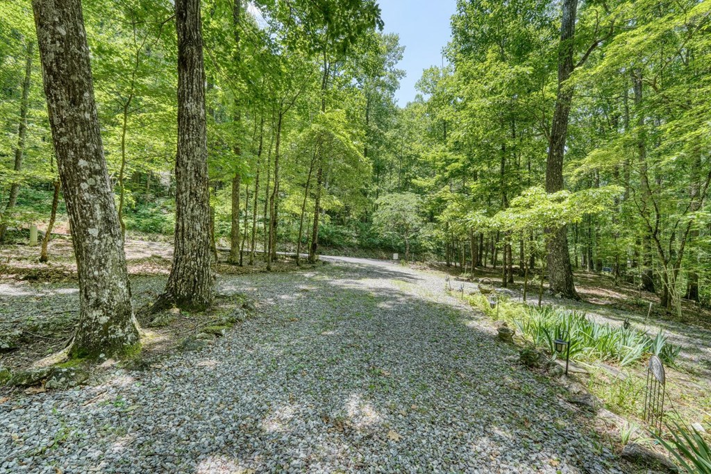 1203 Spring Cove Road Blairsville, GA 30512 - Photo 48 of 52 Gallery Image 48