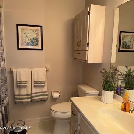 a bathroom with a sink a toilet and shower curtain
