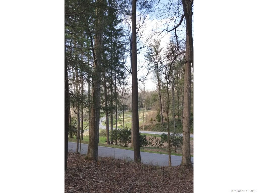 9999 Stuyvesant Road, Unit PORTION 2 & 3 Asheville, NC 28803 - Photo 7 of 19