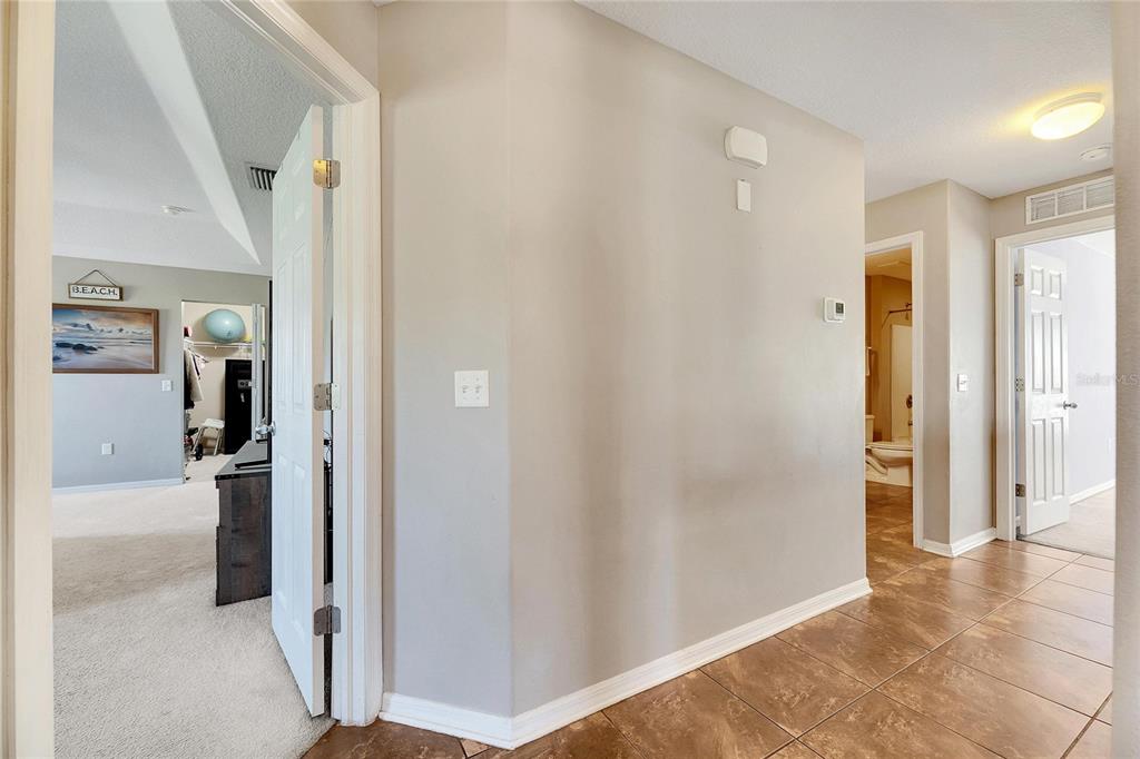 5204 Moon Shell Drive Apollo Beach, FL 33572 - Photo 21 of 82