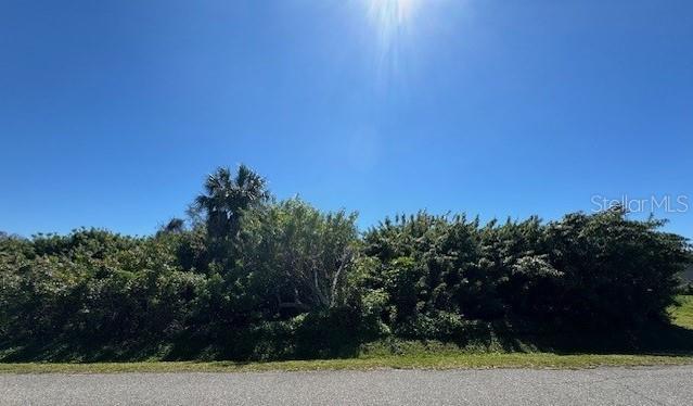 Lehigh Road Venice, FL 34293 - Photo 3 of 10 a view of a yard with an trees
