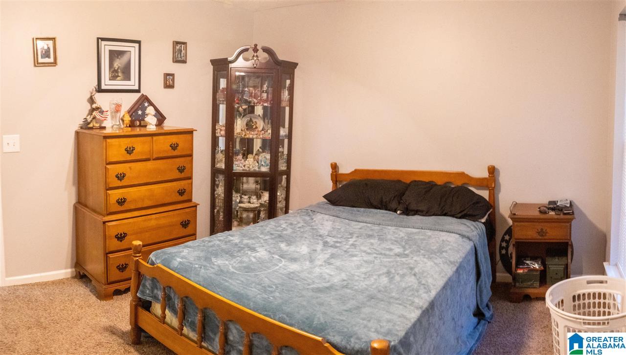 378 Pike Road Woodstock, AL 35188 - Photo 8 of 17