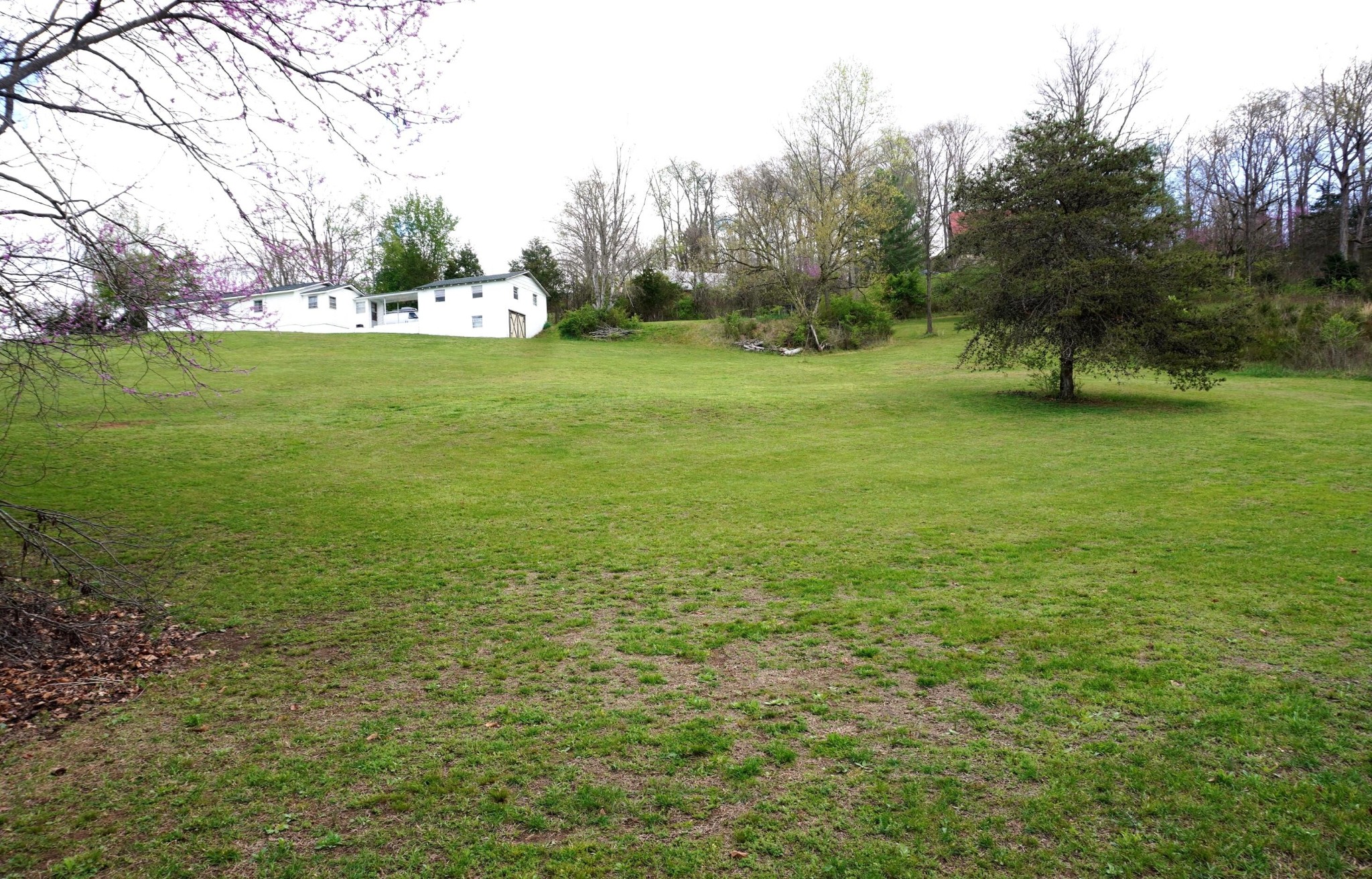 1301 Pratt Road Talbott, TN 37877 - Photo 14 of 31 Gallery Image 14