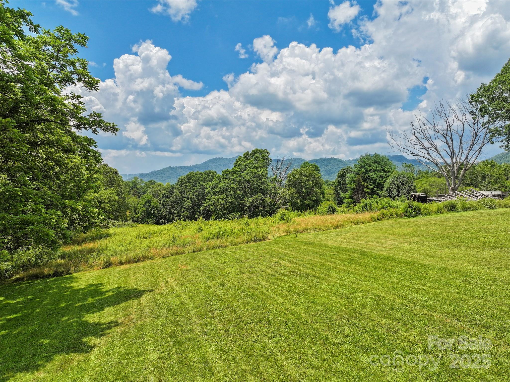 913 North Canton Road Canton, NC 28716 - Photo 14 of 25 a view of a big yard with lots of green space