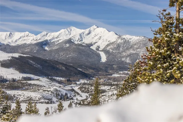 a view of a fireplace in the middle of a forest