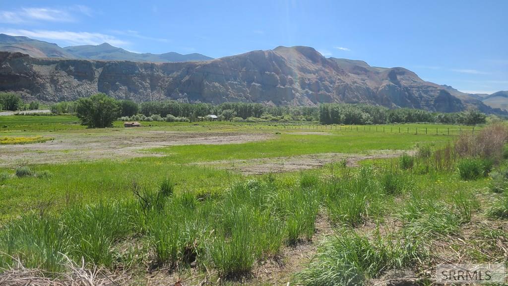 6 Homestead Trail Challis, ID 83226 - Photo 9 of 36