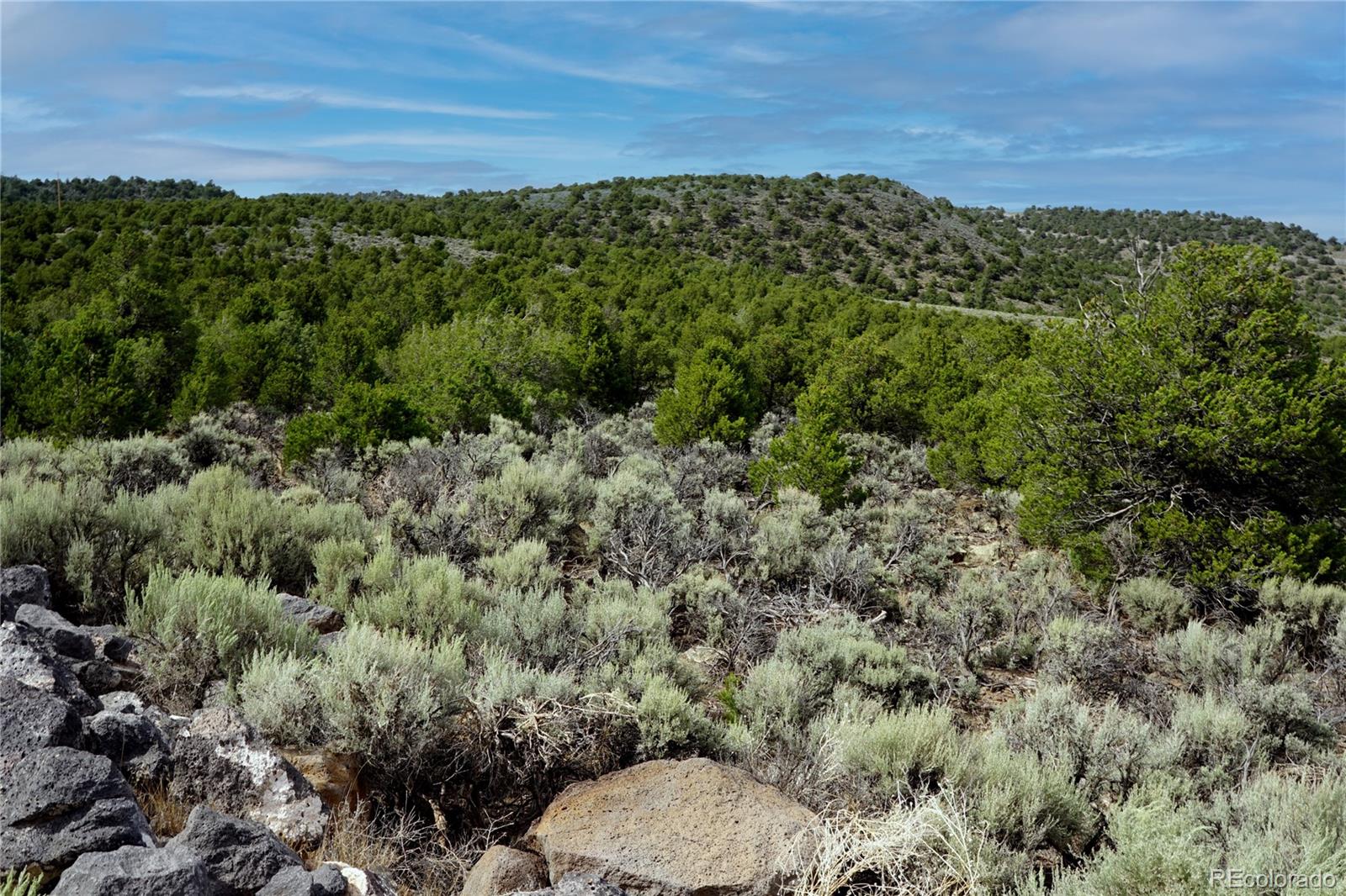 3 Melby Rancho San Luis, CO 81152 - Photo 3 of 11 a view of a green field with lots of bushes