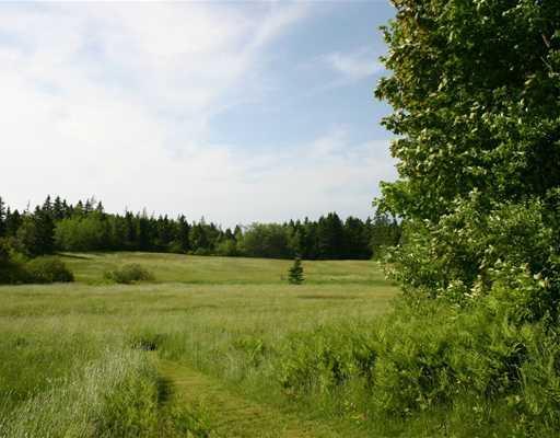 765 County Road Lubec, ME 04652 - Photo 10 of 21 Land.