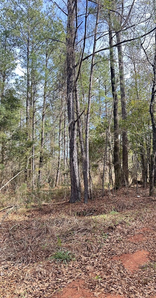 0 Cook Road Brewton, AL 36426 - Photo 4 of 4