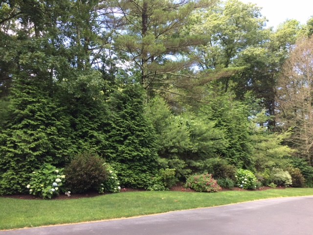 208 Phillips Hill Road Coventry, RI 02816 - Photo 7 of 40