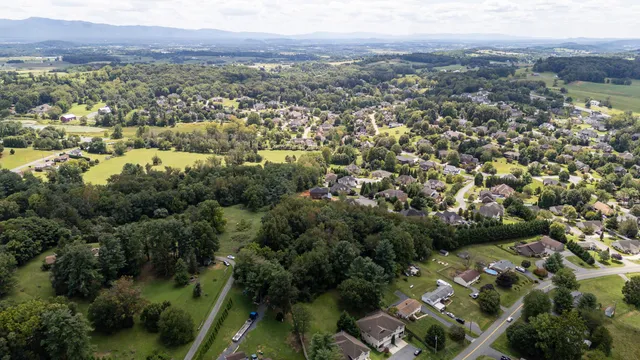 an aerial view of town with residential houses with outdoor space and trees